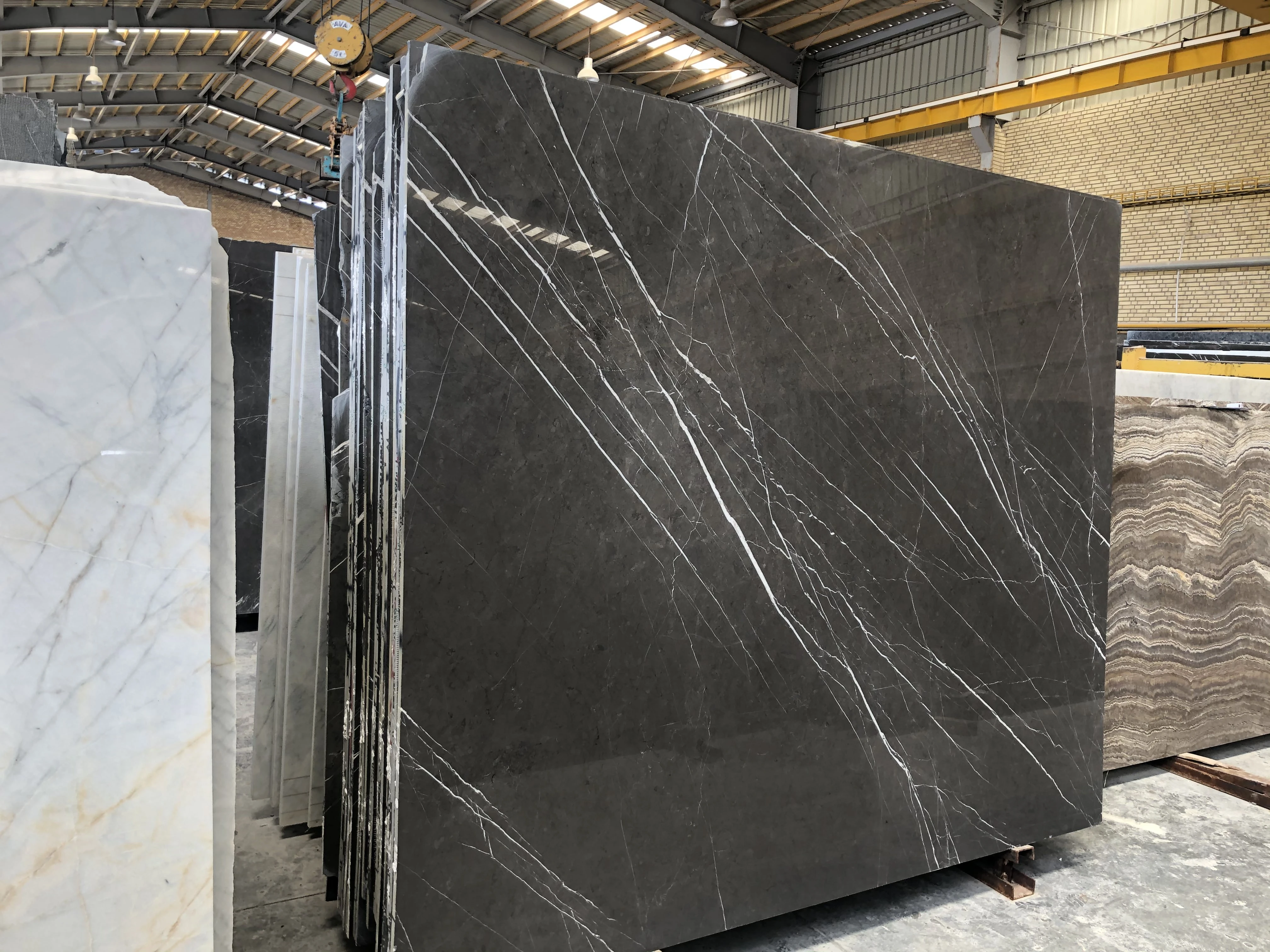 لاشه ورقه ای